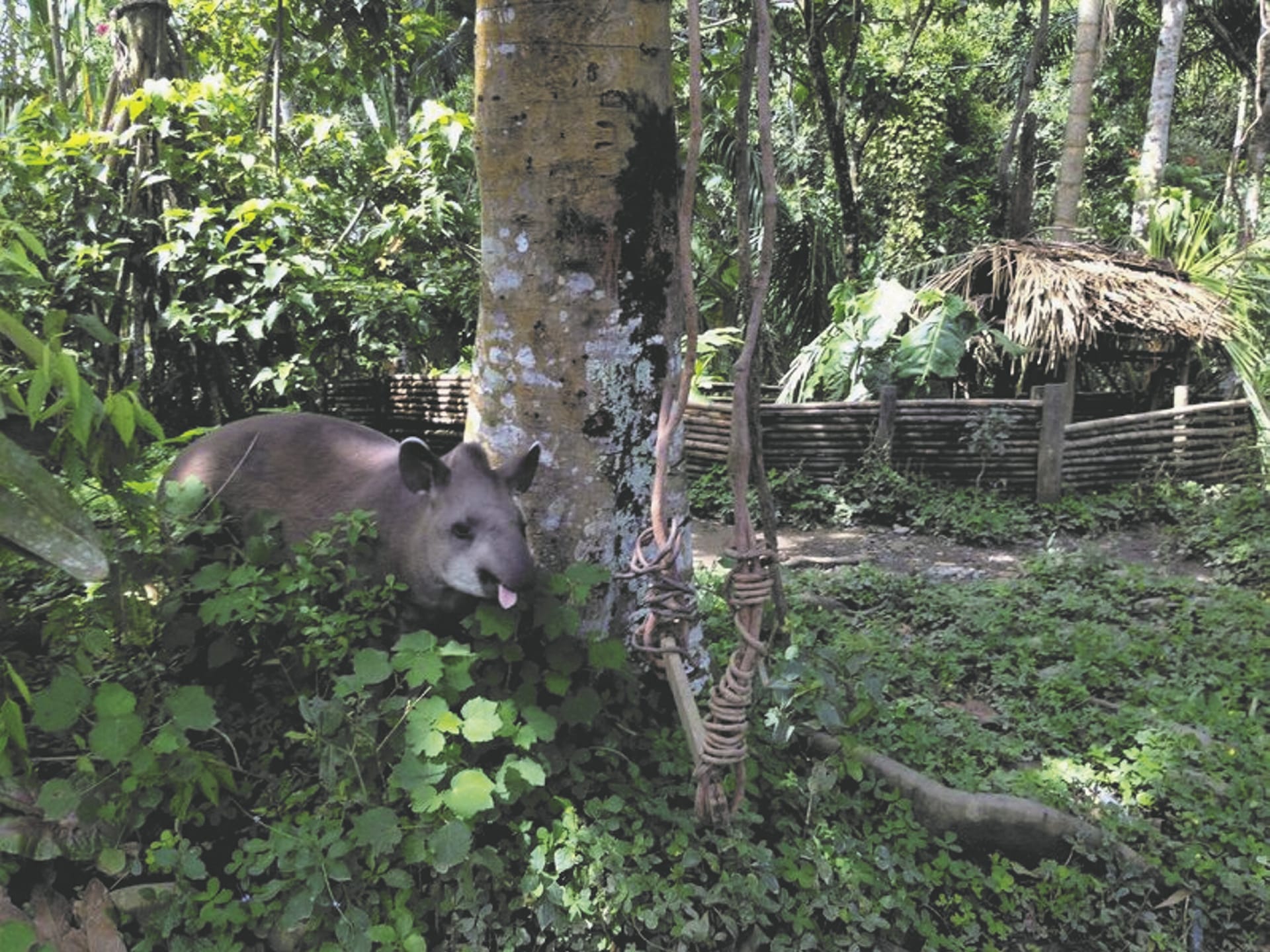 SAM_PE_1024_20170223_PP