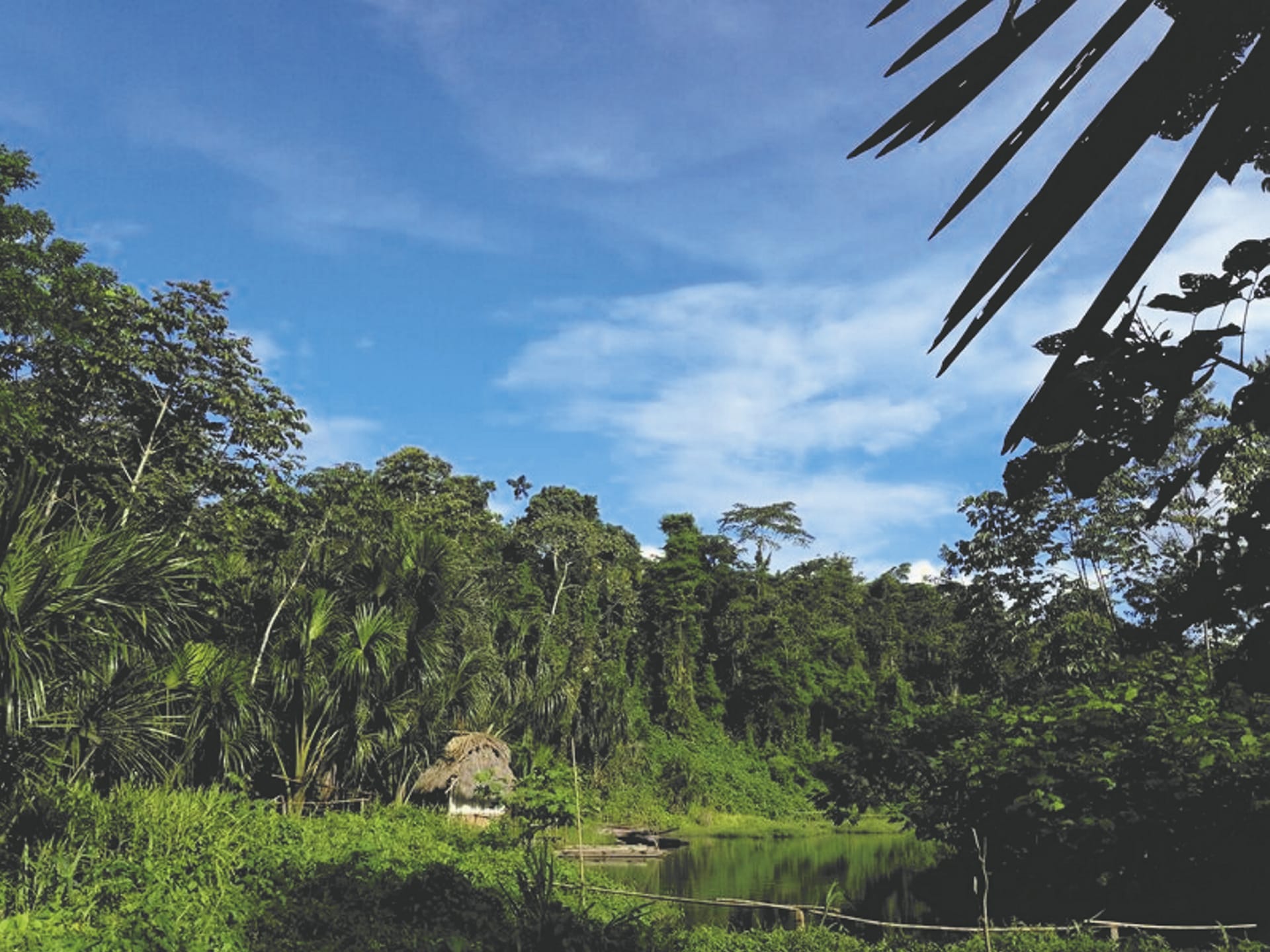 SAM_PE_1027_20170223_PP