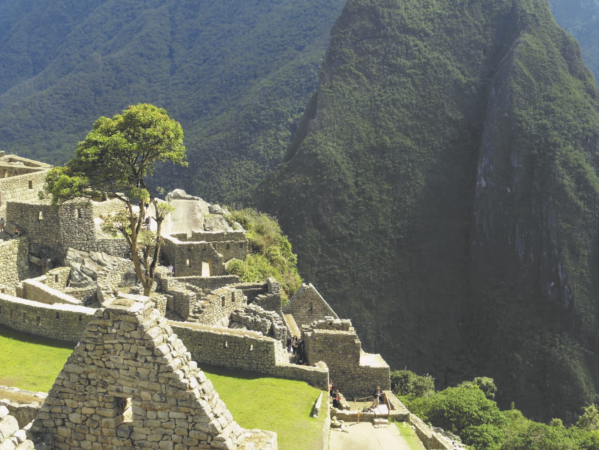 SAM_PE_1209_20170622_PP