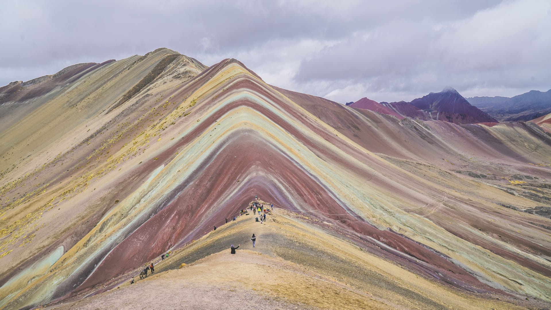 SAM_PE_1327_20170814_PP