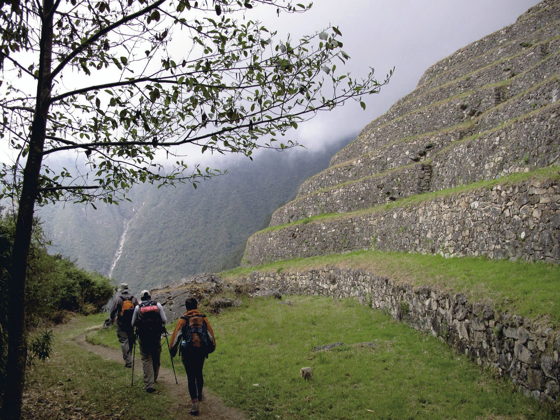 SAM_PE_136_20110816_PP