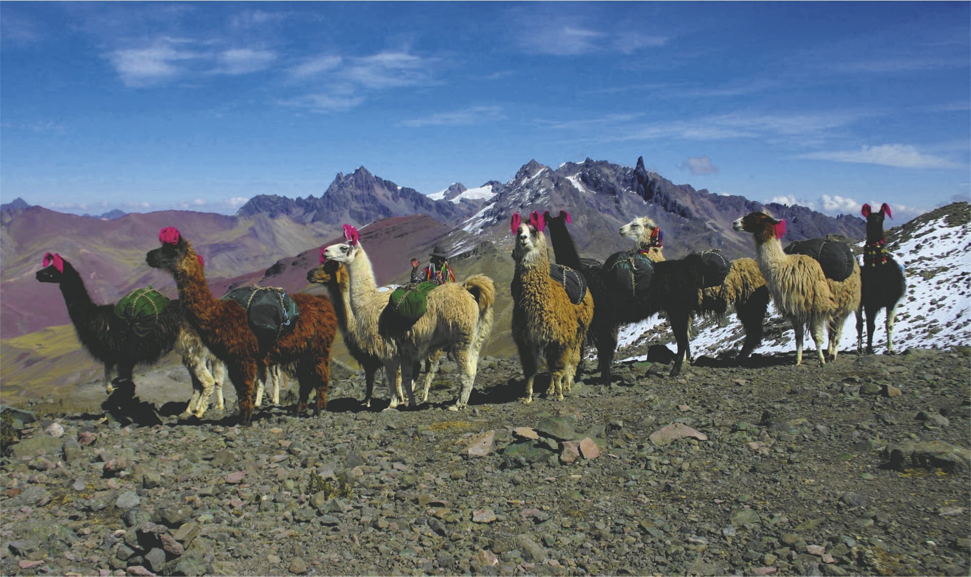 SAM_PE_1395_20170816_PP