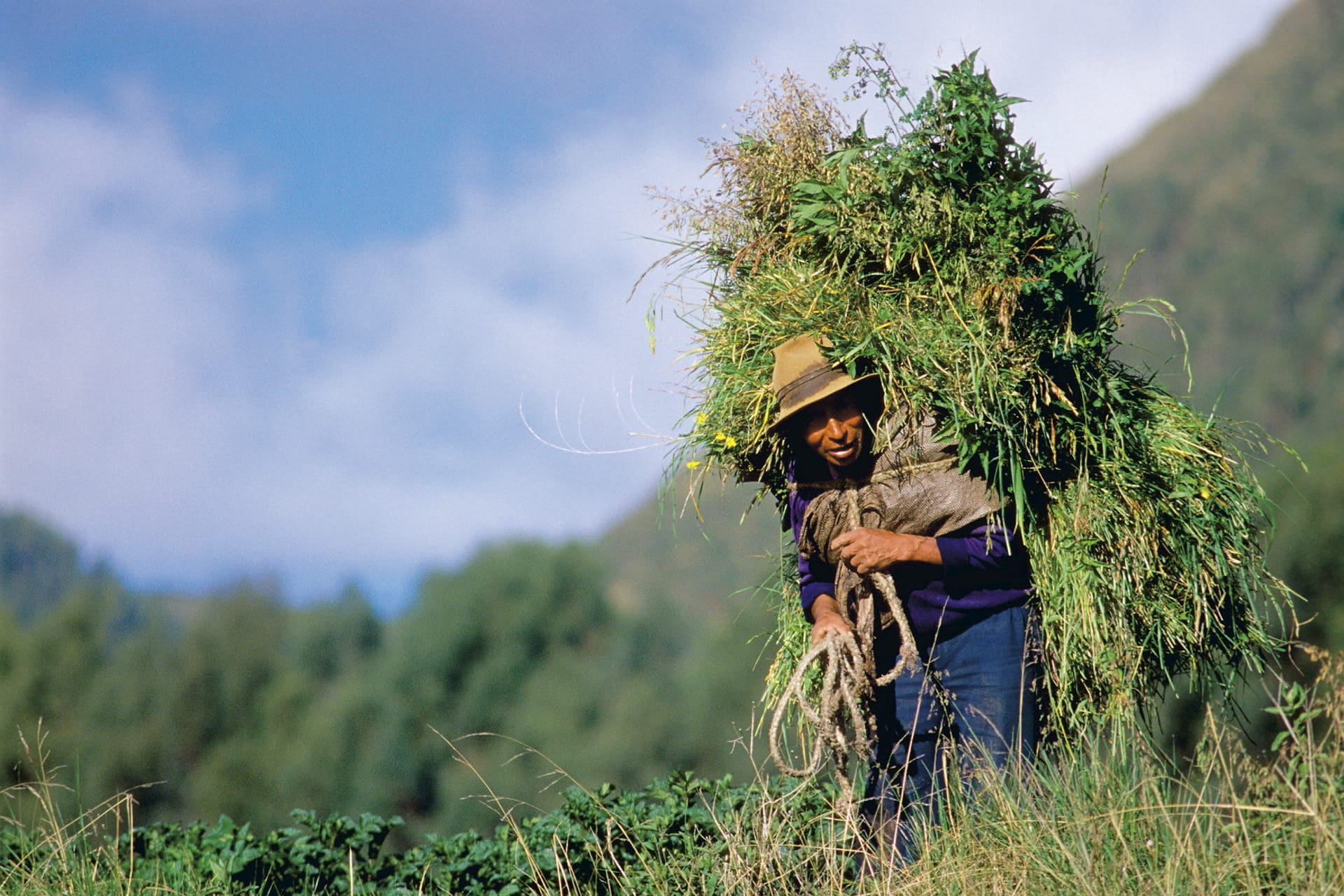 SAM_PE_141_20081110_KA