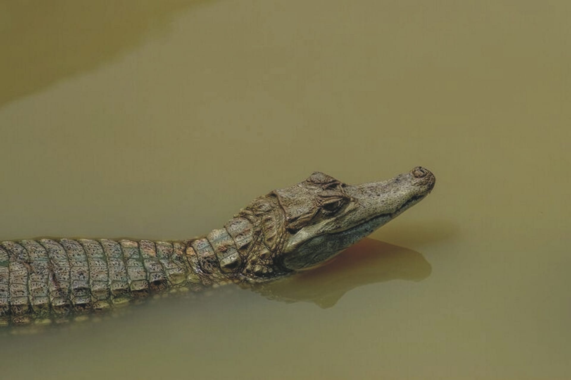 SAM_PE_20181710_KHM_1