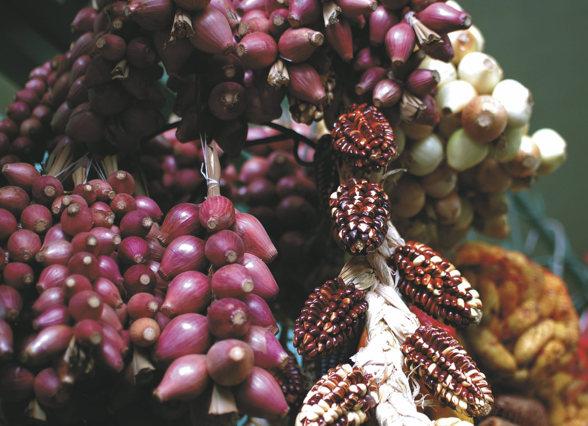 SAM_PE_20190904_KHM_11