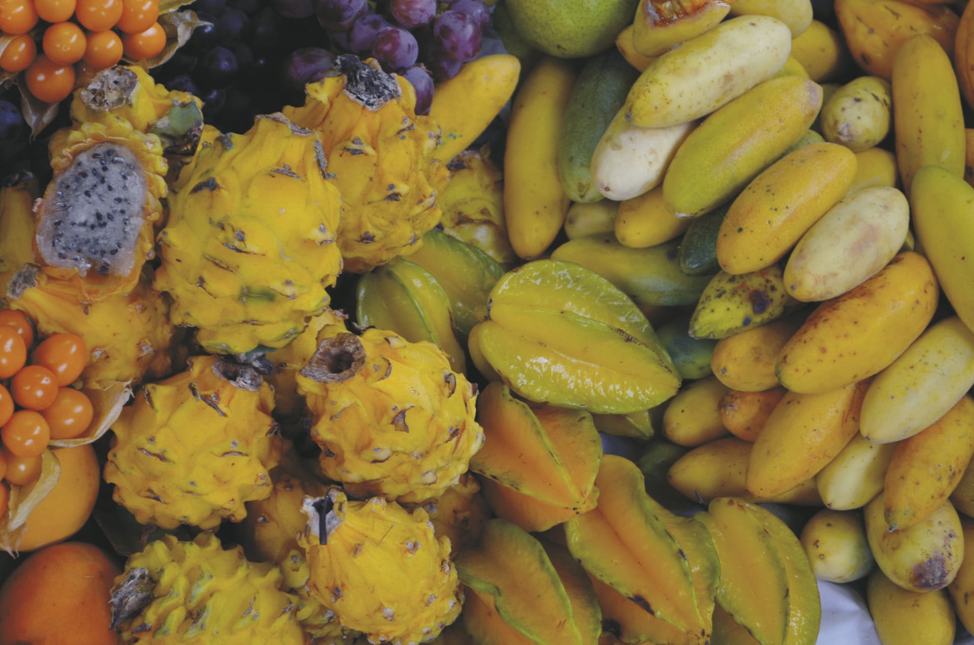 SAM_PE_20190904_KHM_9