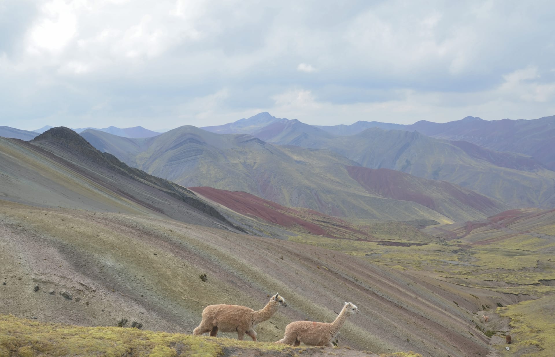 SAM_PE_20190906_KHM_10_14