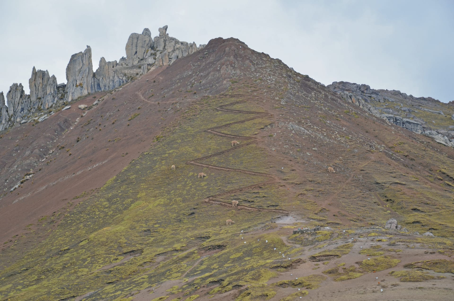 SAM_PE_20190906_KHM_10_5