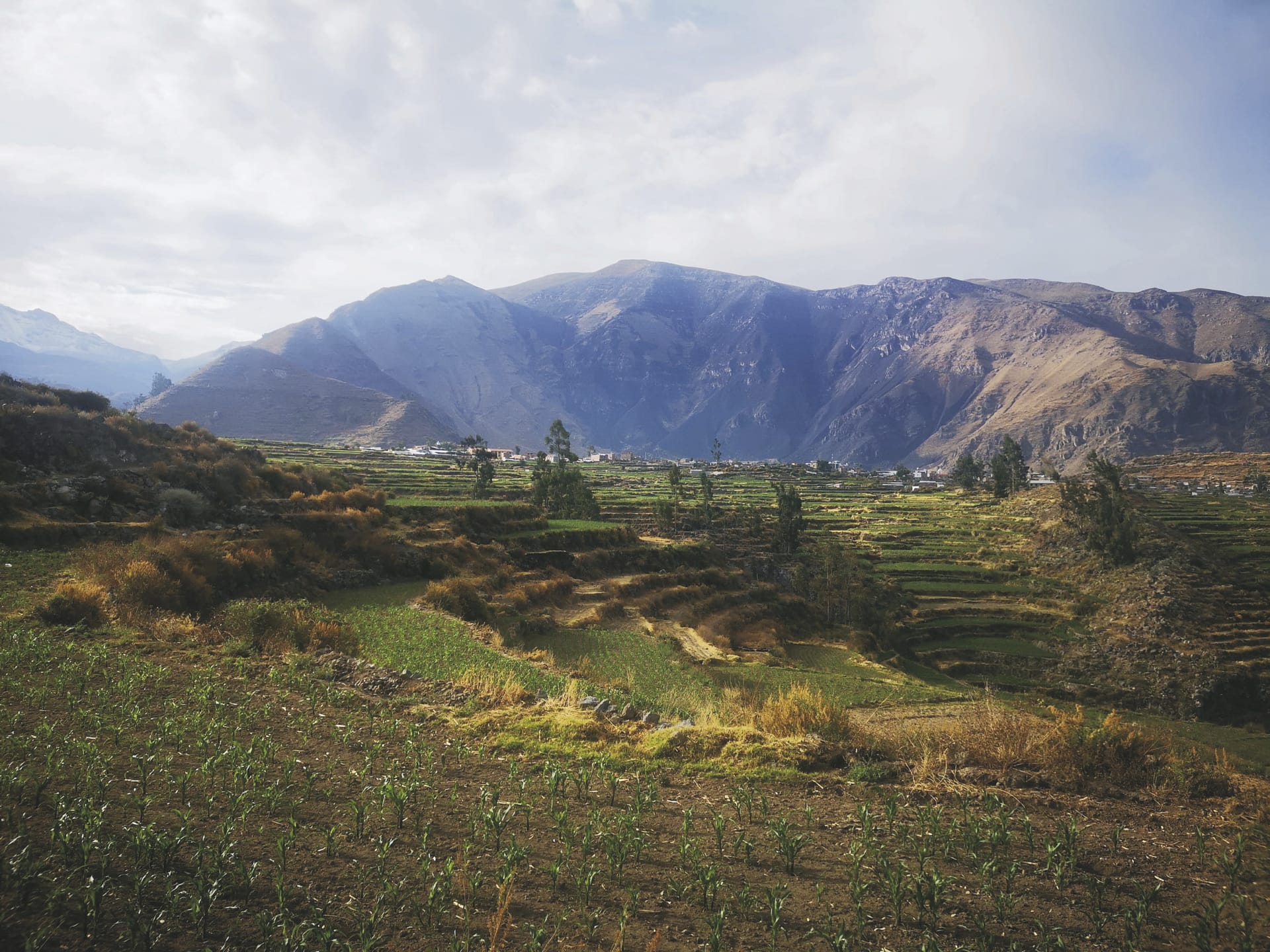 SAM_PE_20231026KHM_7