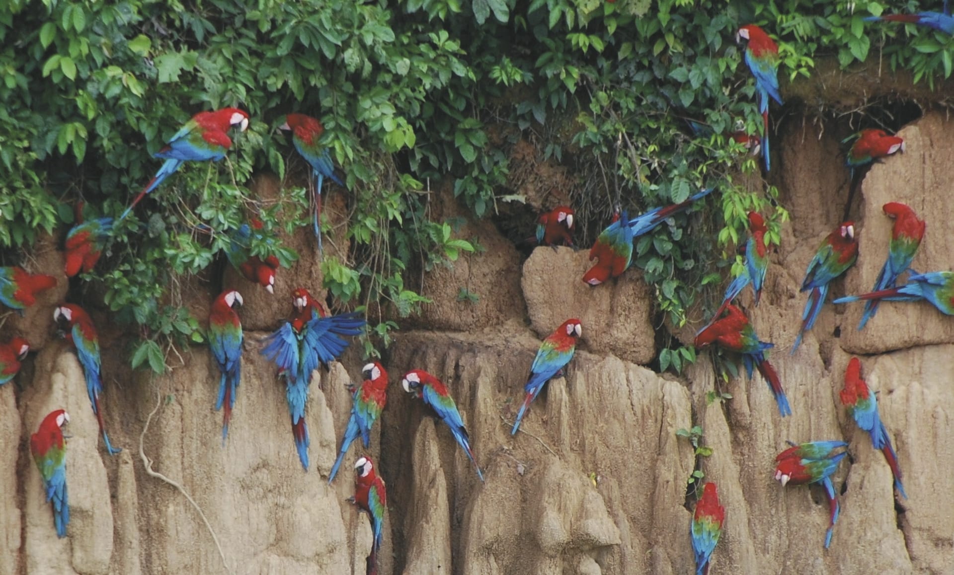 SAM_PE_20240806_KHM_4