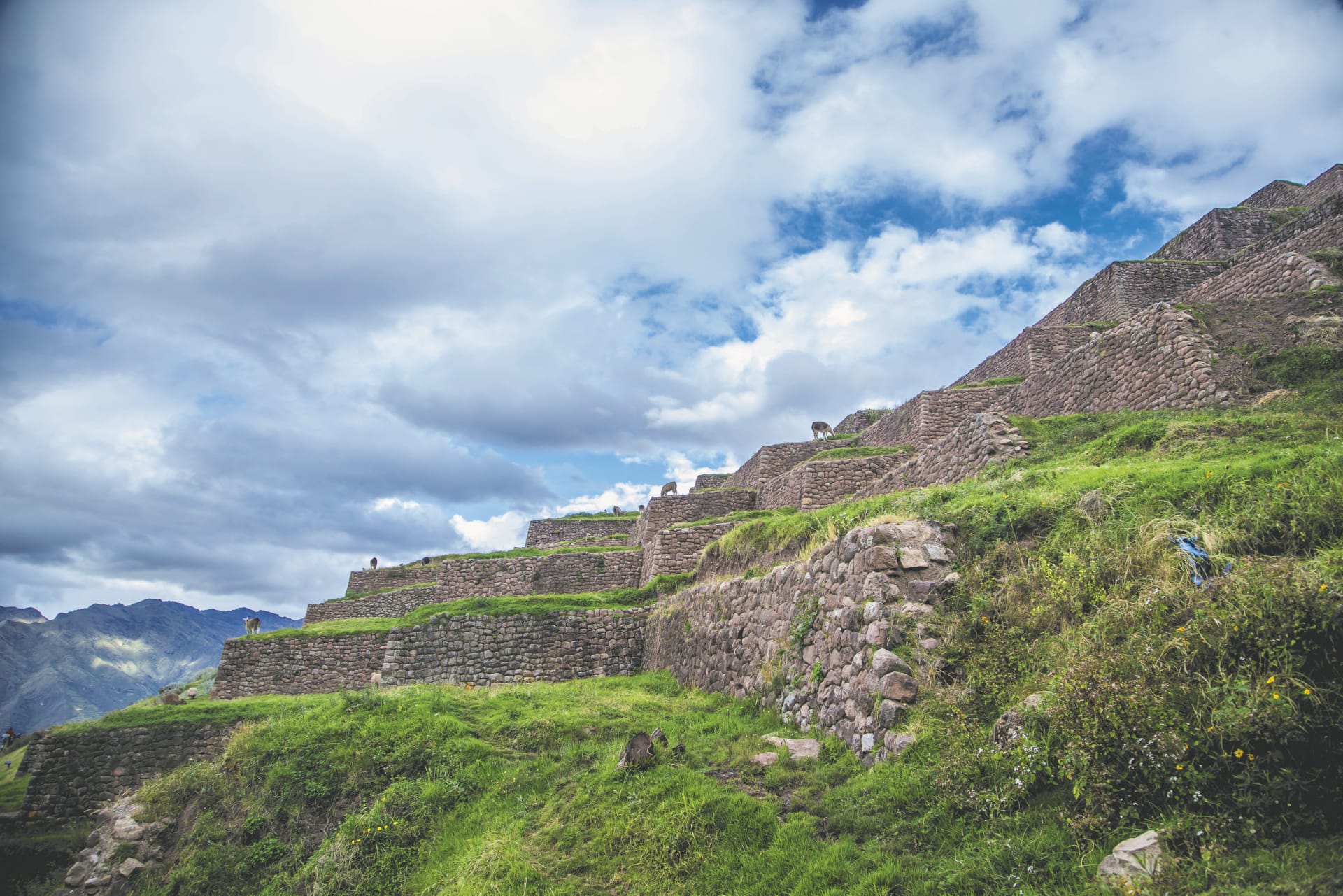 SAM_PE_290_20140930_PP