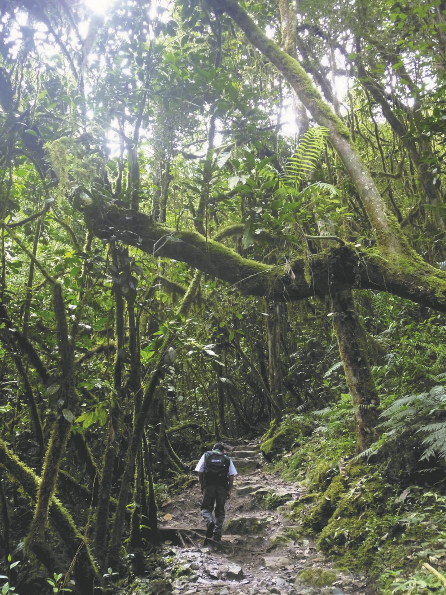 SAM_PE_321_20141009_PP