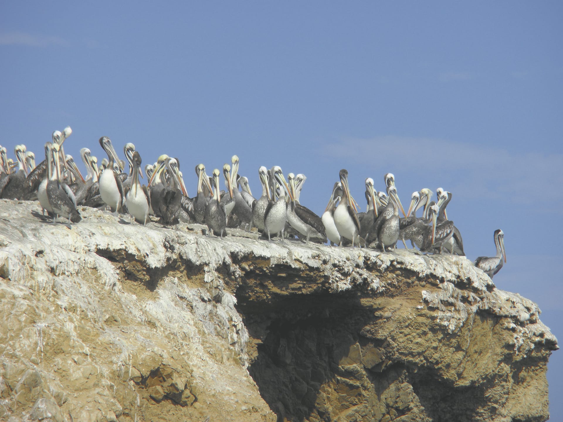 SAM_PE_341_20141030_PP