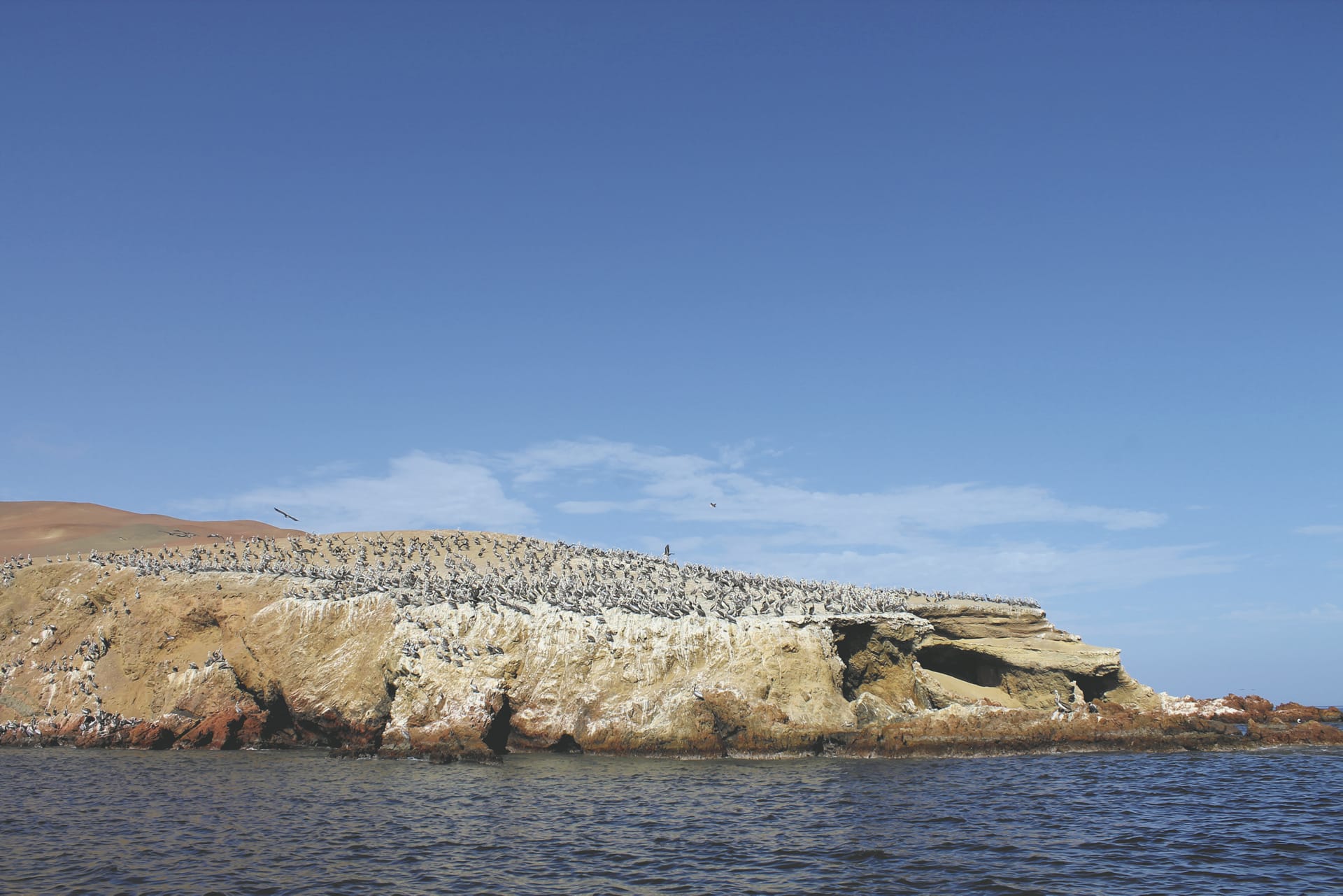 SAM_PE_342_20141030_PP