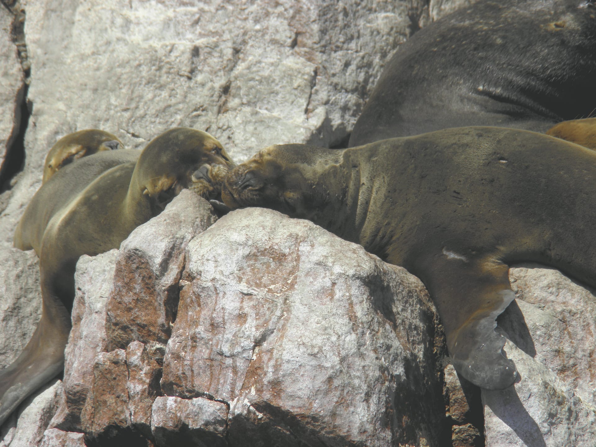 SAM_PE_345_20141030_PP