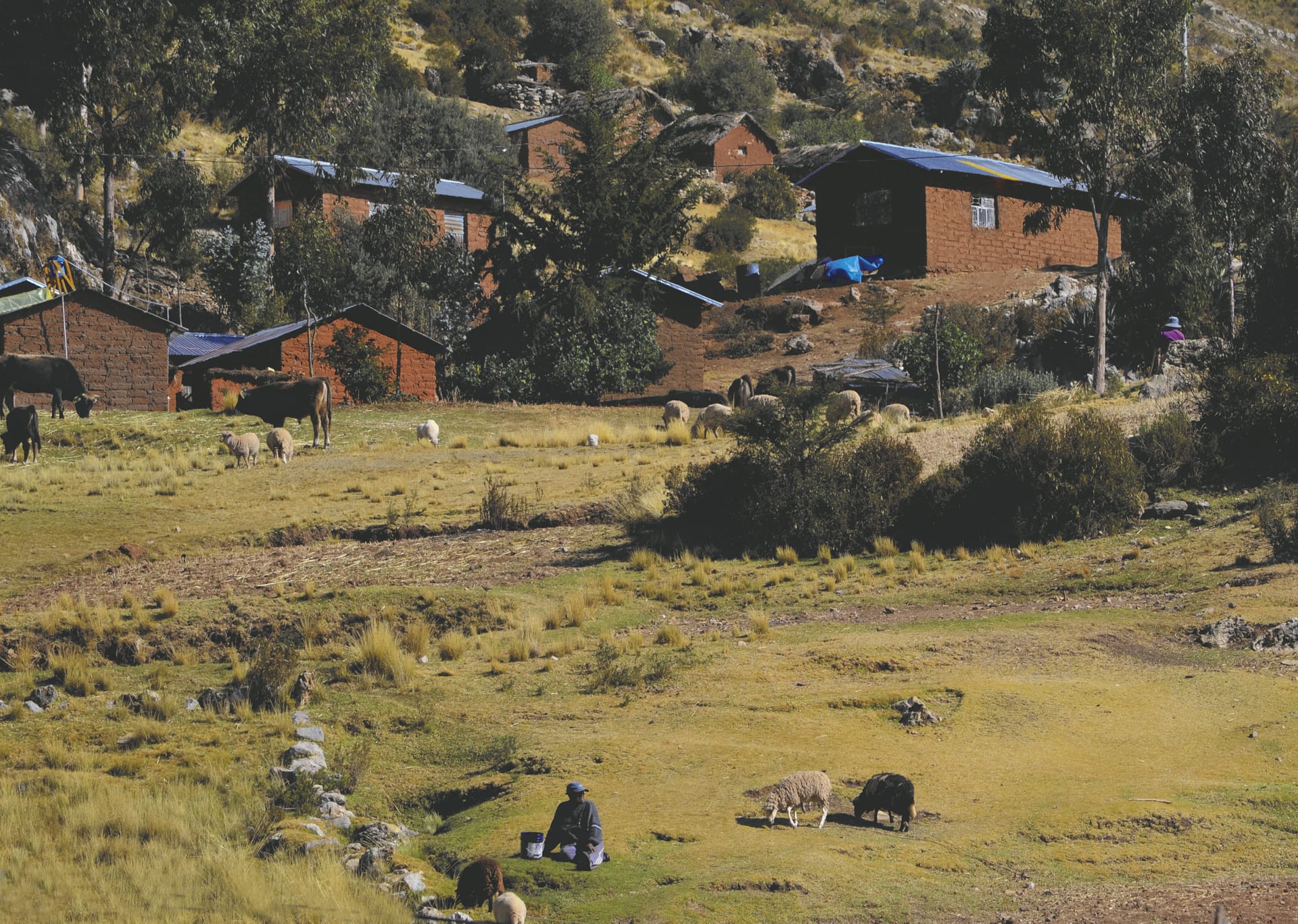 SAM_PE_356_20141104_PP