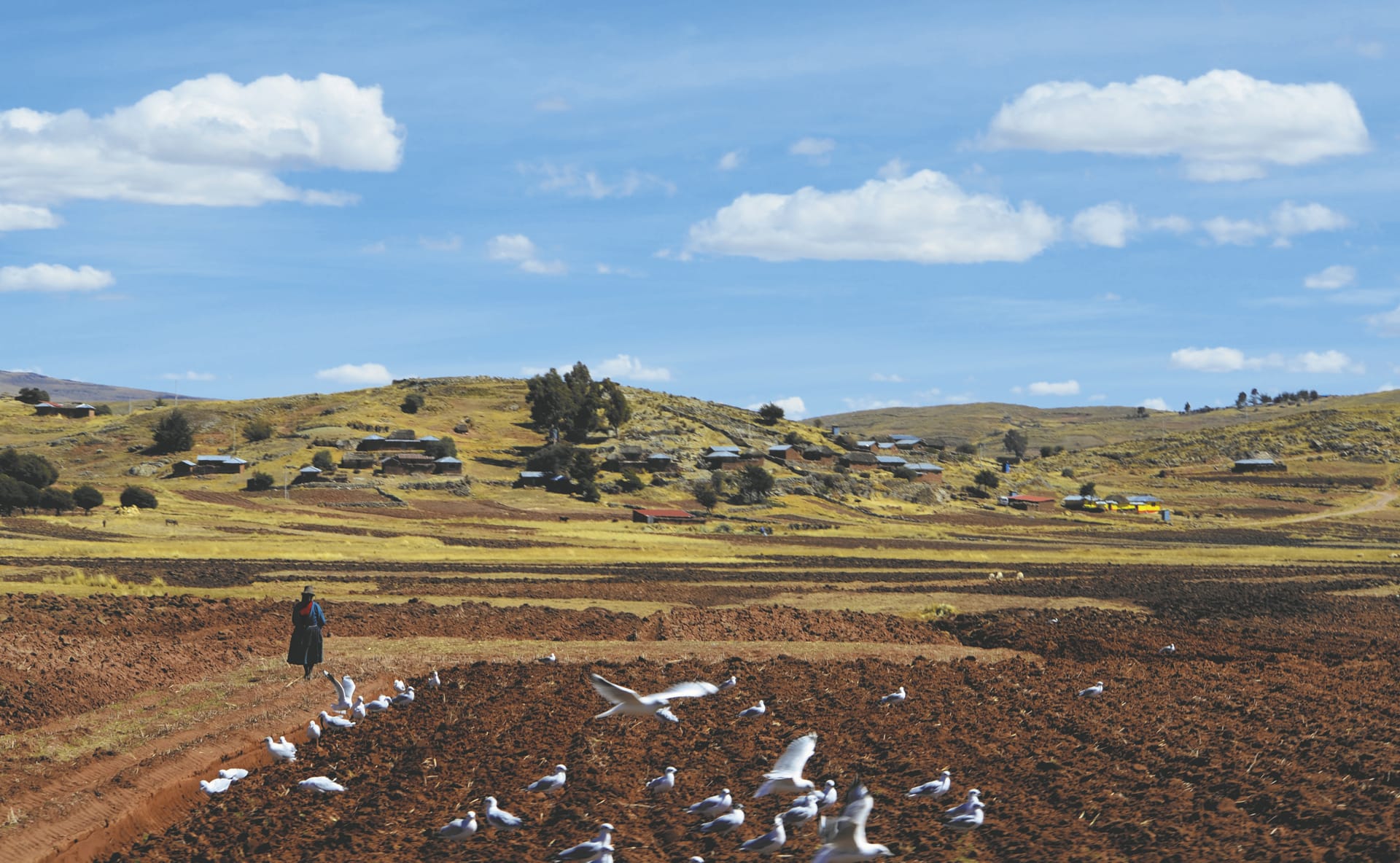 SAM_PE_357_20141104_PP