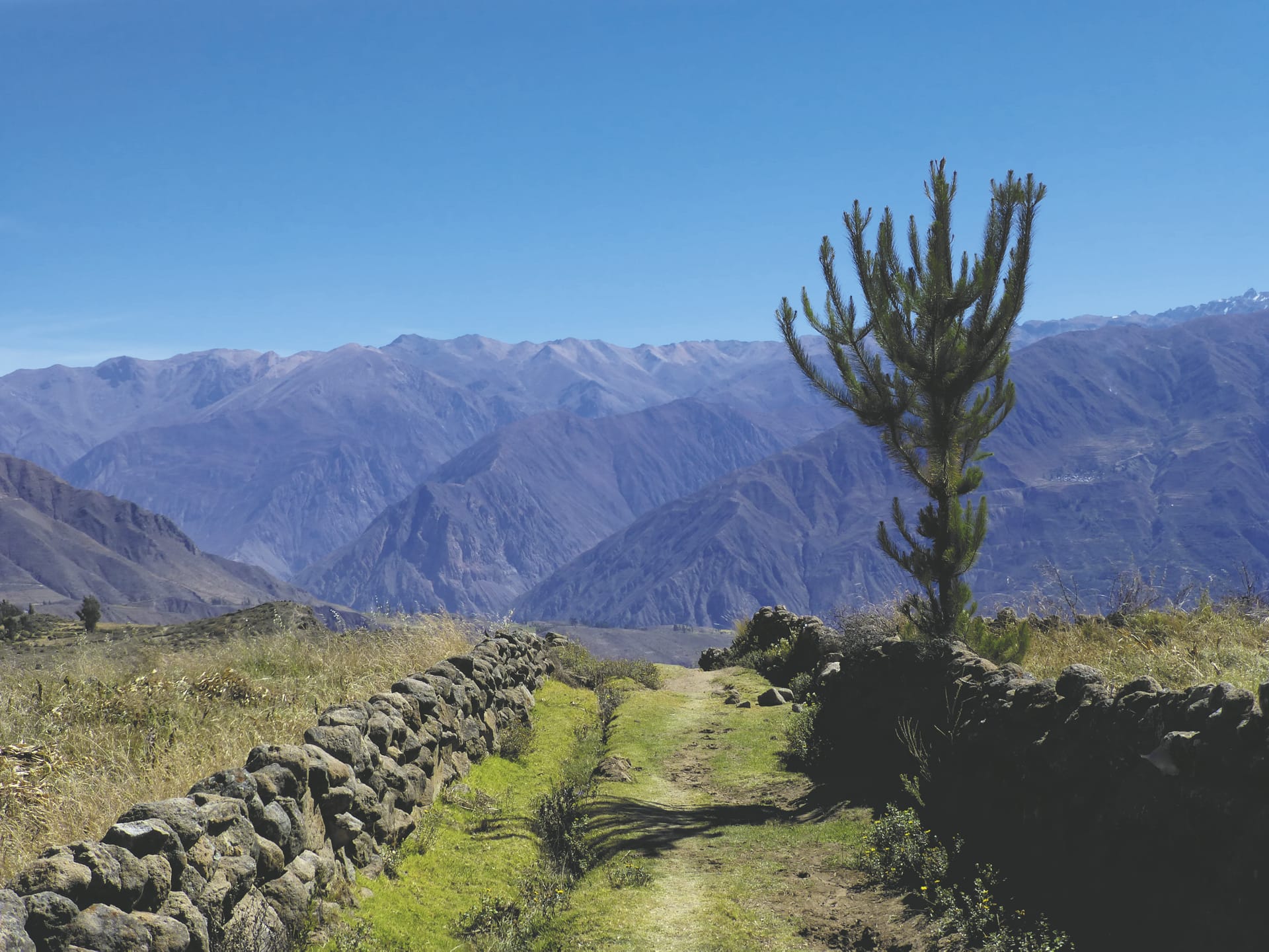 SAM_PE_417_20150812_PP