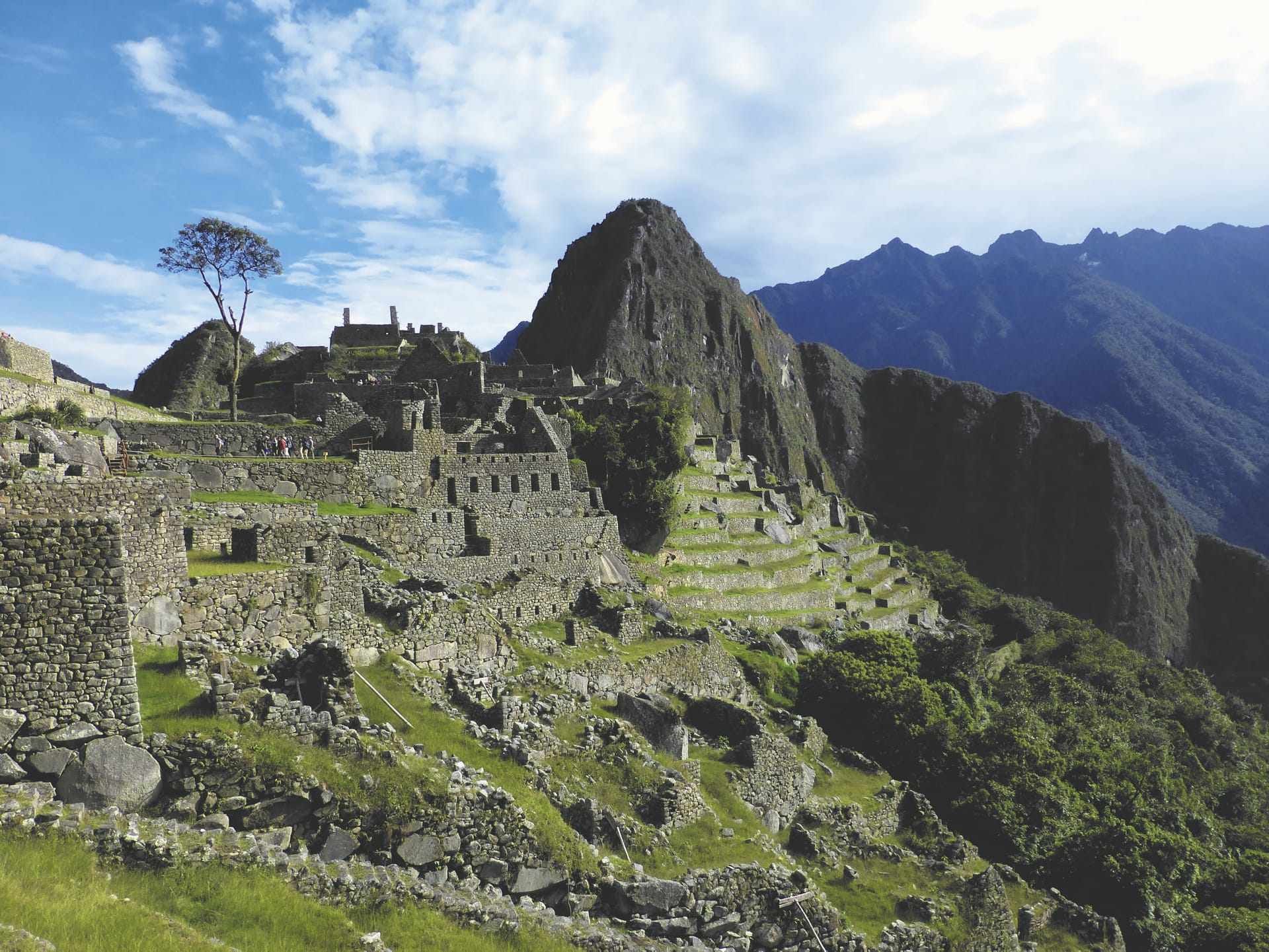 SAM_PE_427_20150812_PP