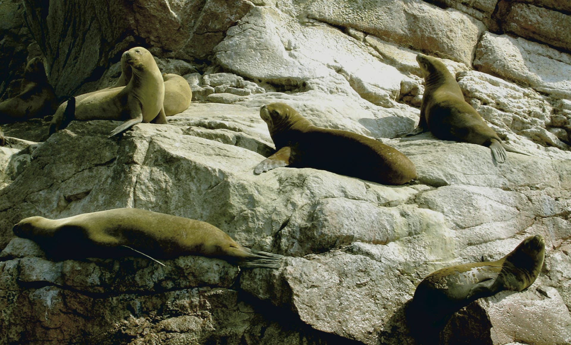 SAM_PE_433_20111102_PP