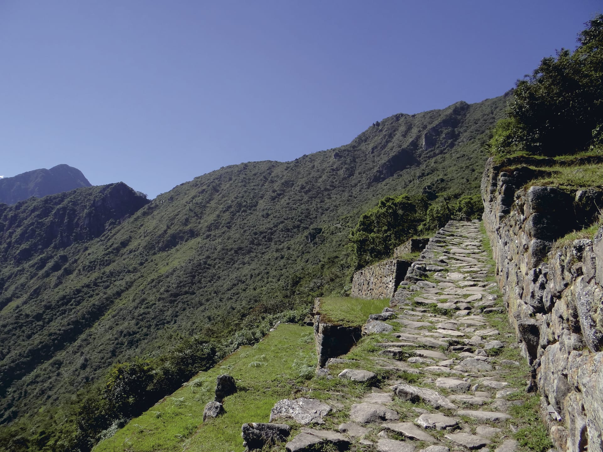 SAM_PE_481_20130704_PP