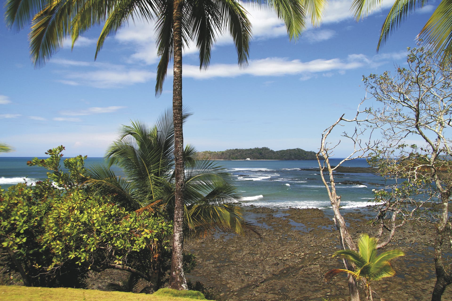 SAM_PTY_20211111_NH_1