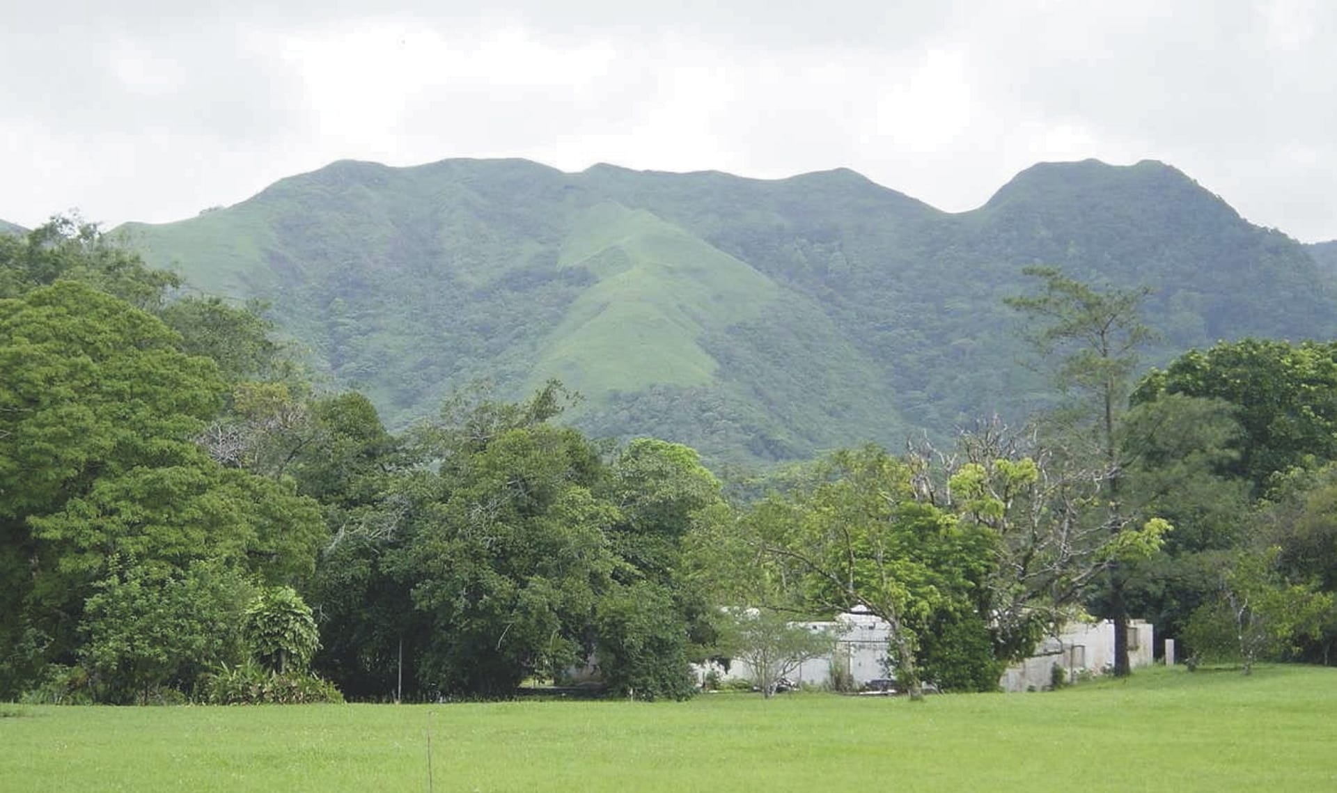 SAM_PTY_20211111_NH_10