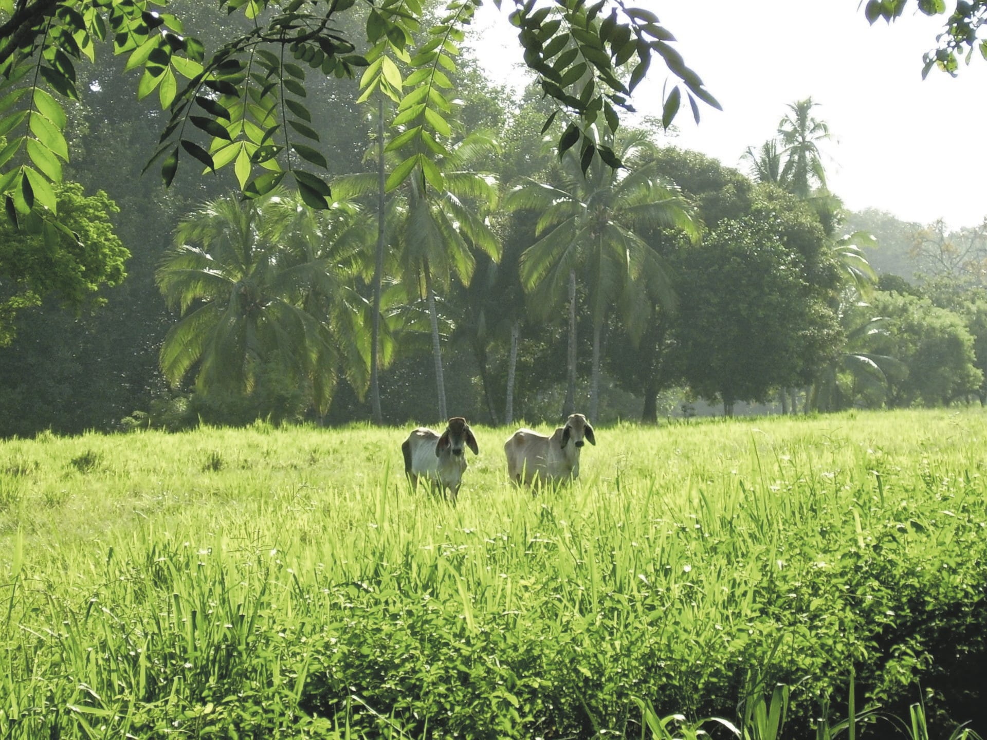 SAM_PTY_20211111_NH_3