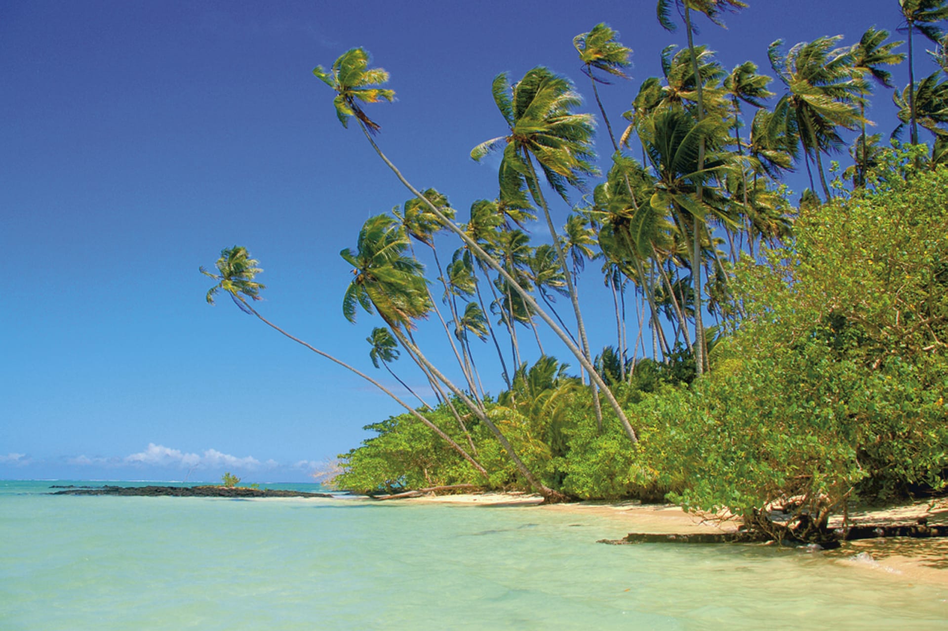 SPC_APW_277_20130918_PP