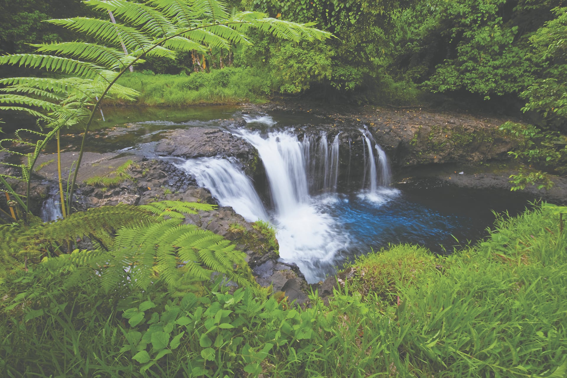 SPC_APW_372_20160722_PP