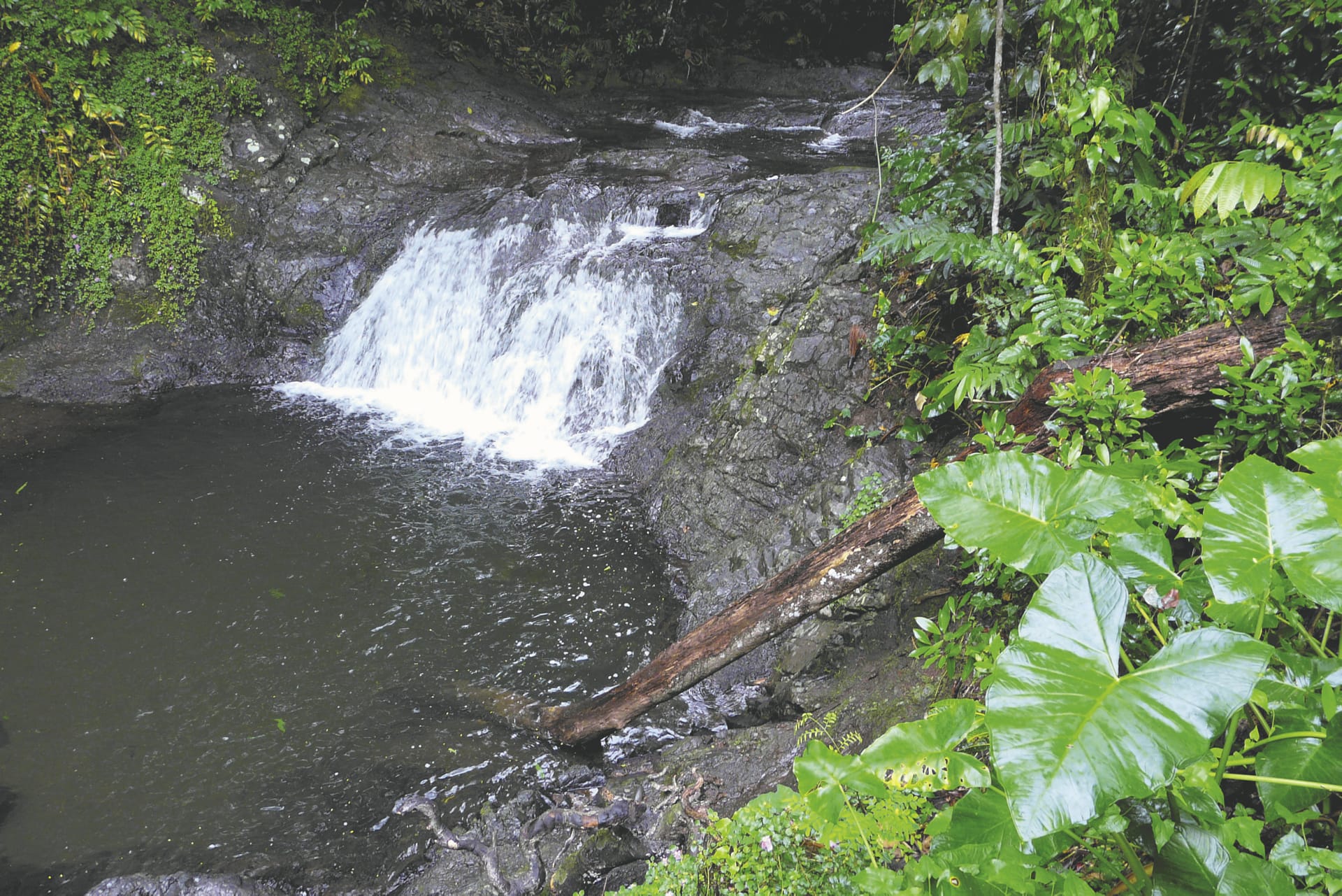 SPC_APW_511_20170924_PP