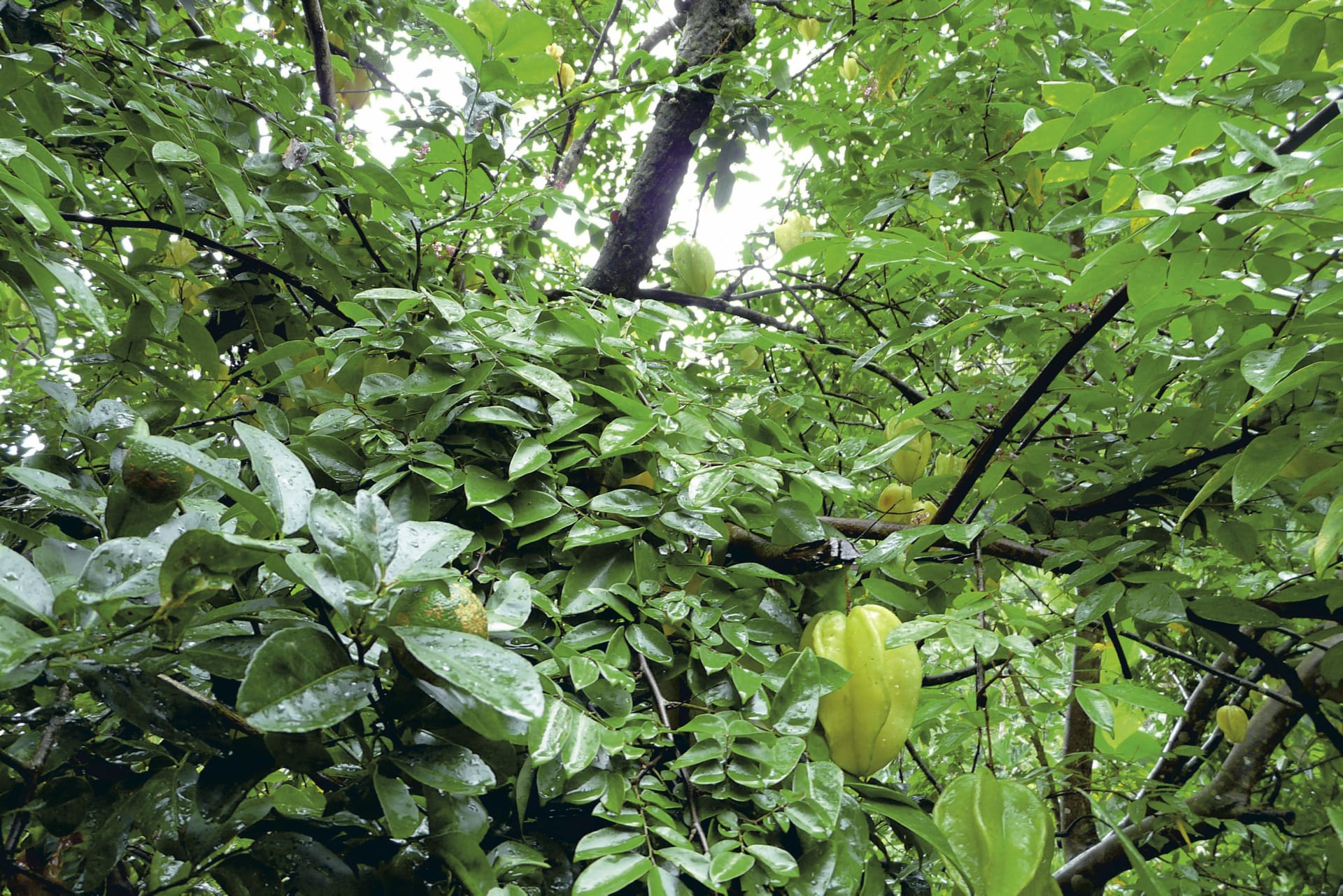 SPC_APW_548_20120728_PP