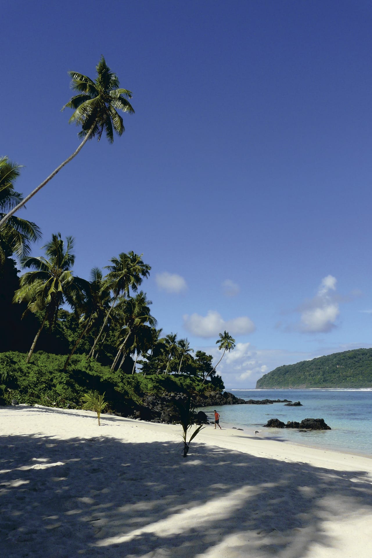 SPC_APW_560_20120728_PP