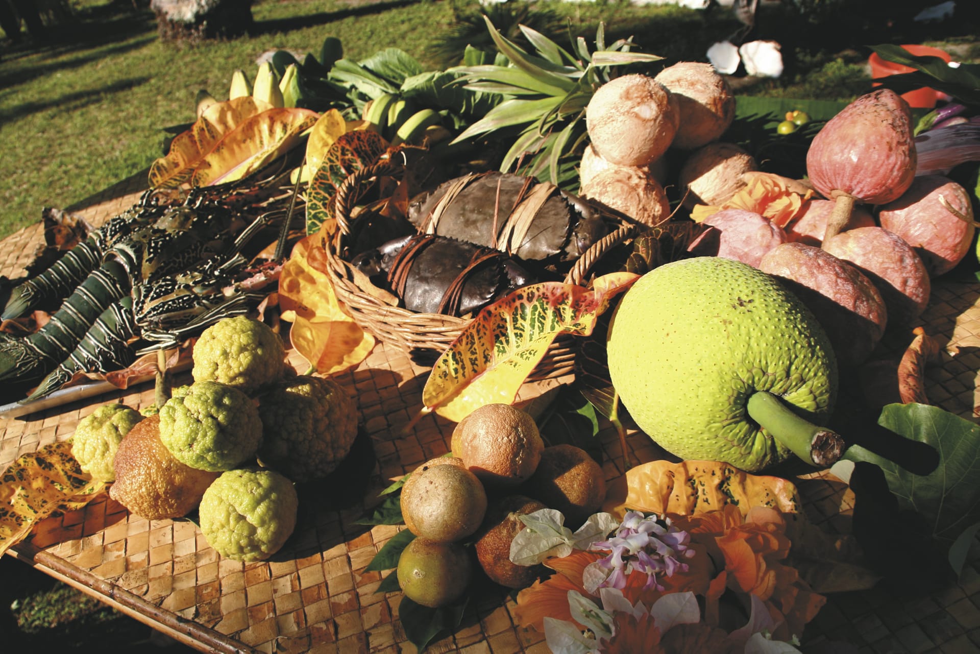 SPC_NAN20191017_MR_3