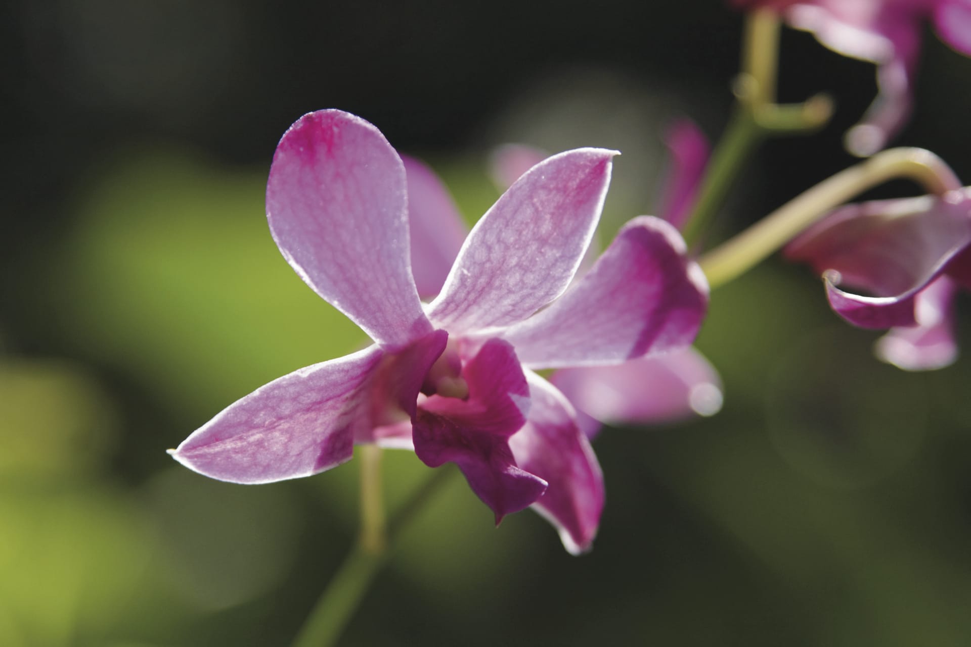 SPC_NAN_136_20100929_SS