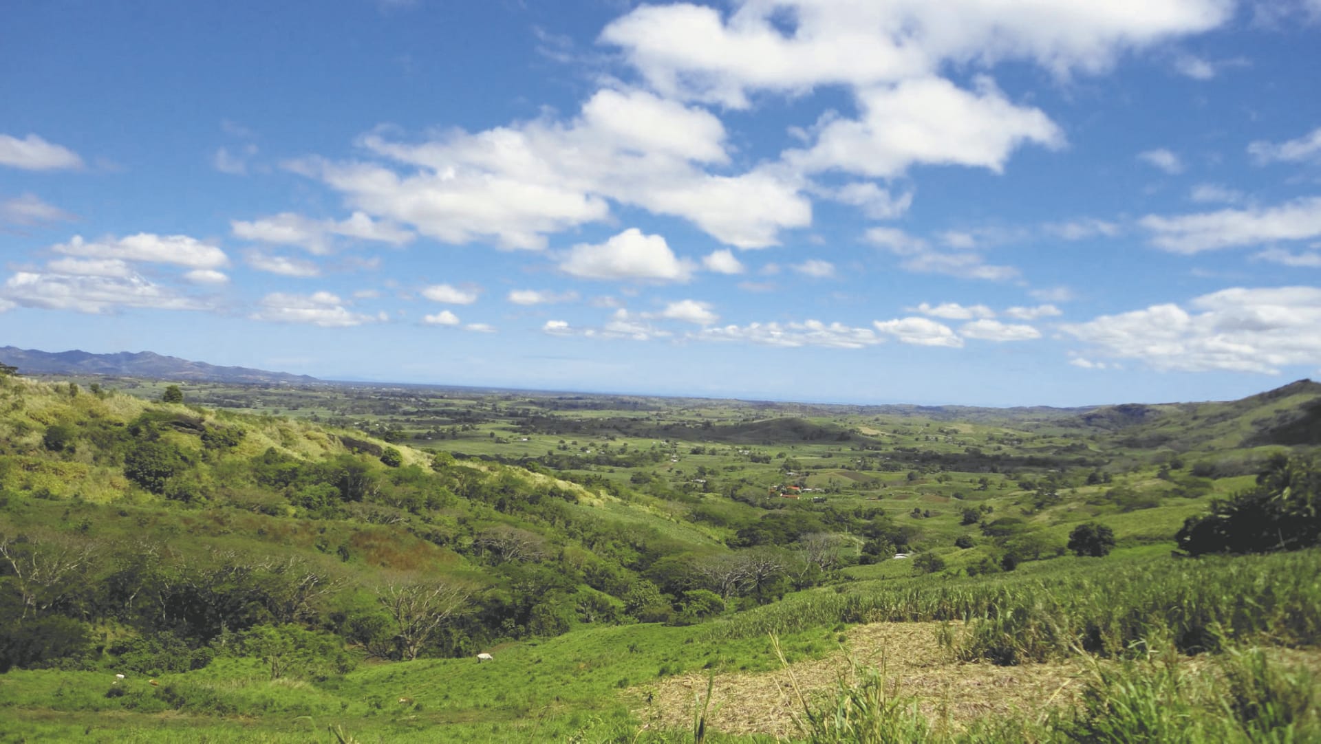 SPC_NAN_225_20150820_PP