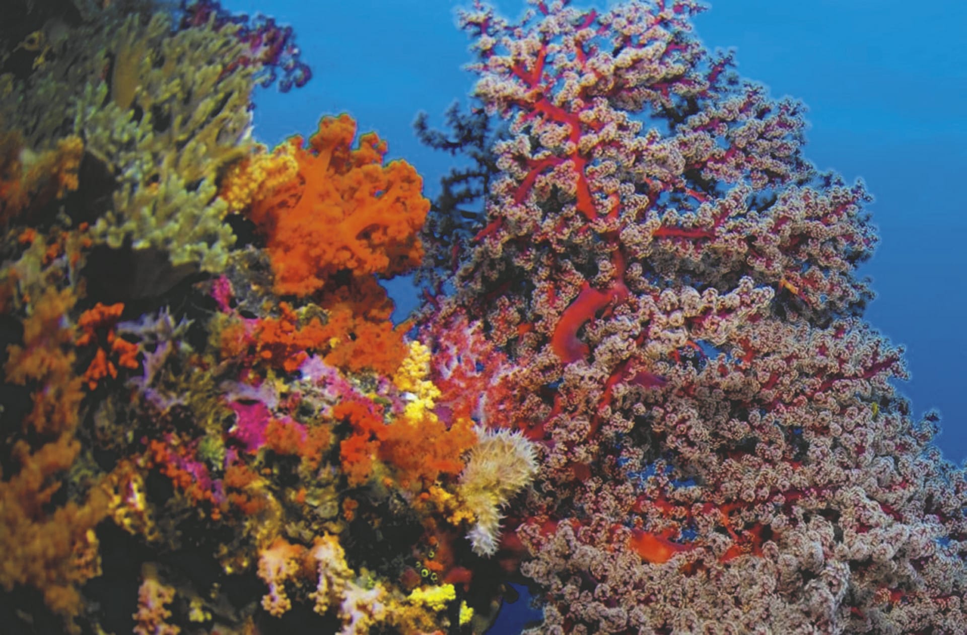 SPC_NAN_240_20150820_PP