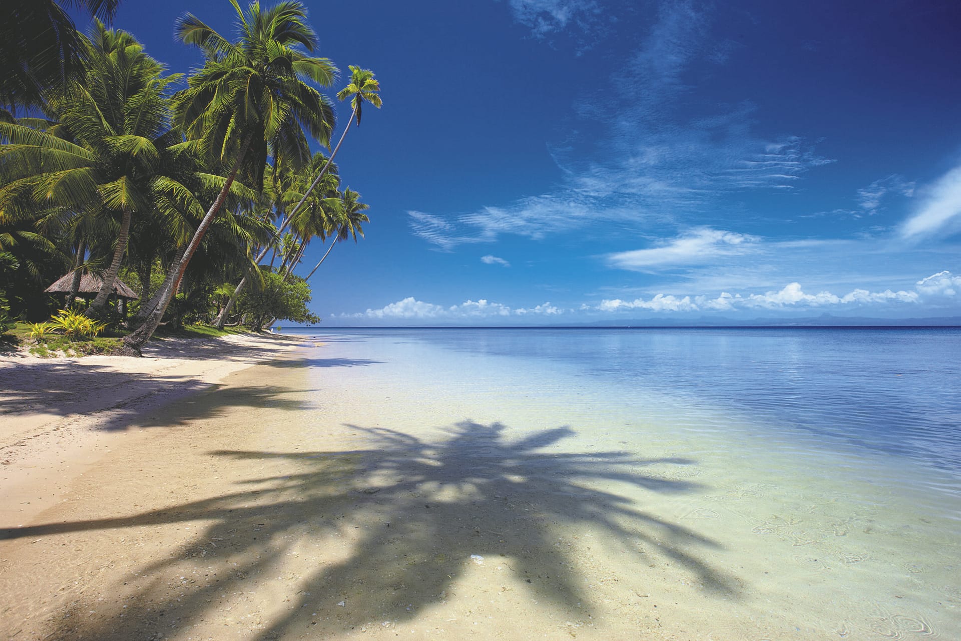 SPC_NAN_513_20171004_PP