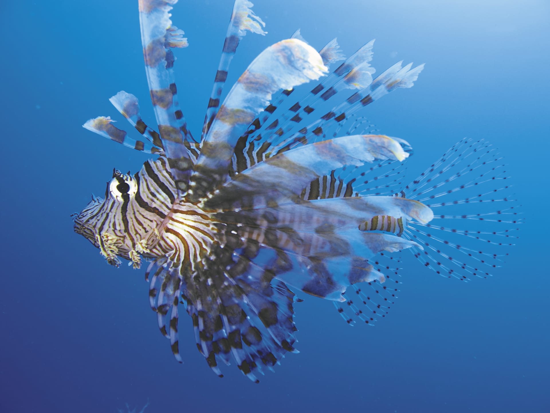 SPC_NAN_521_20171004_PP