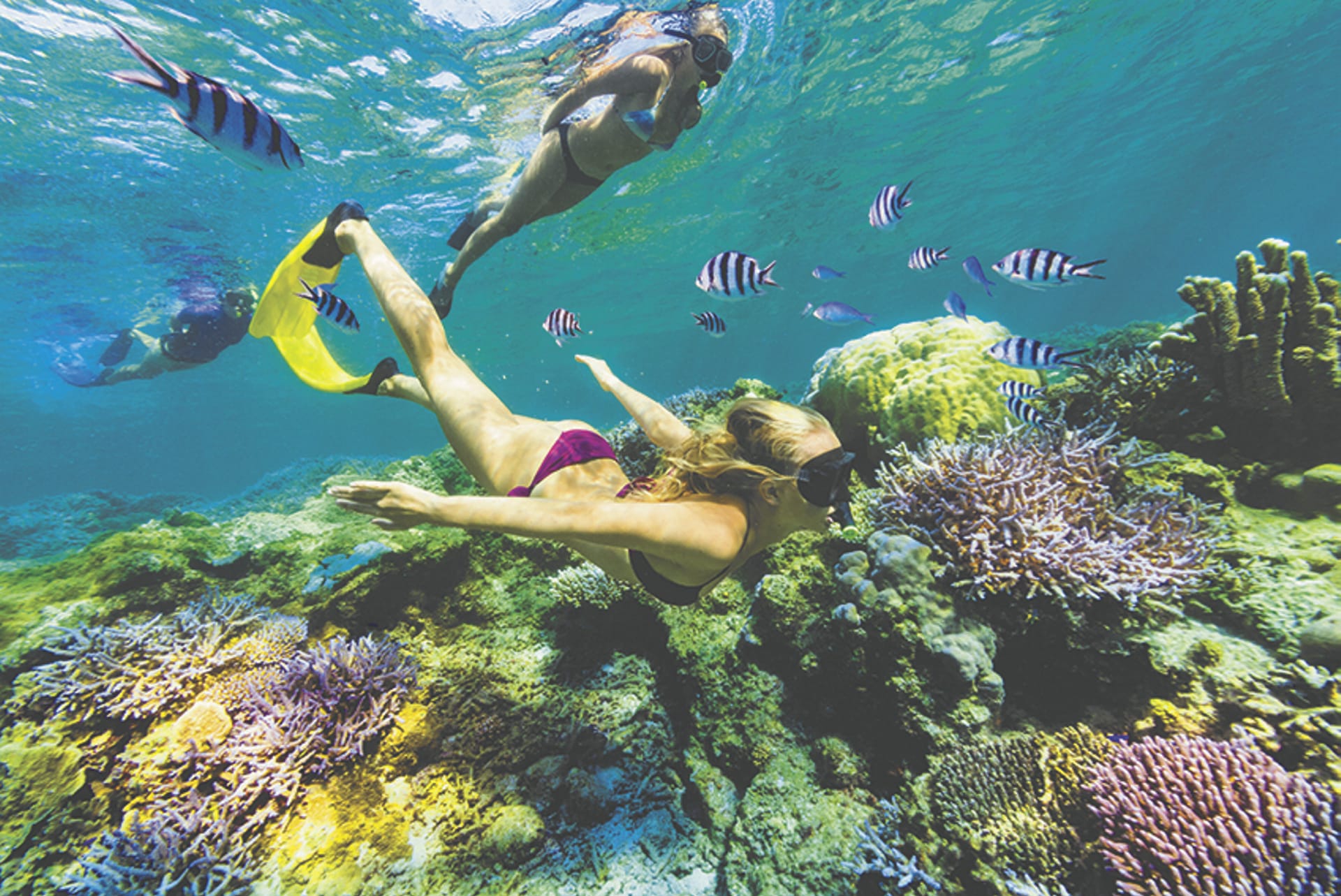 SPC_NAN_753_20160913_PP