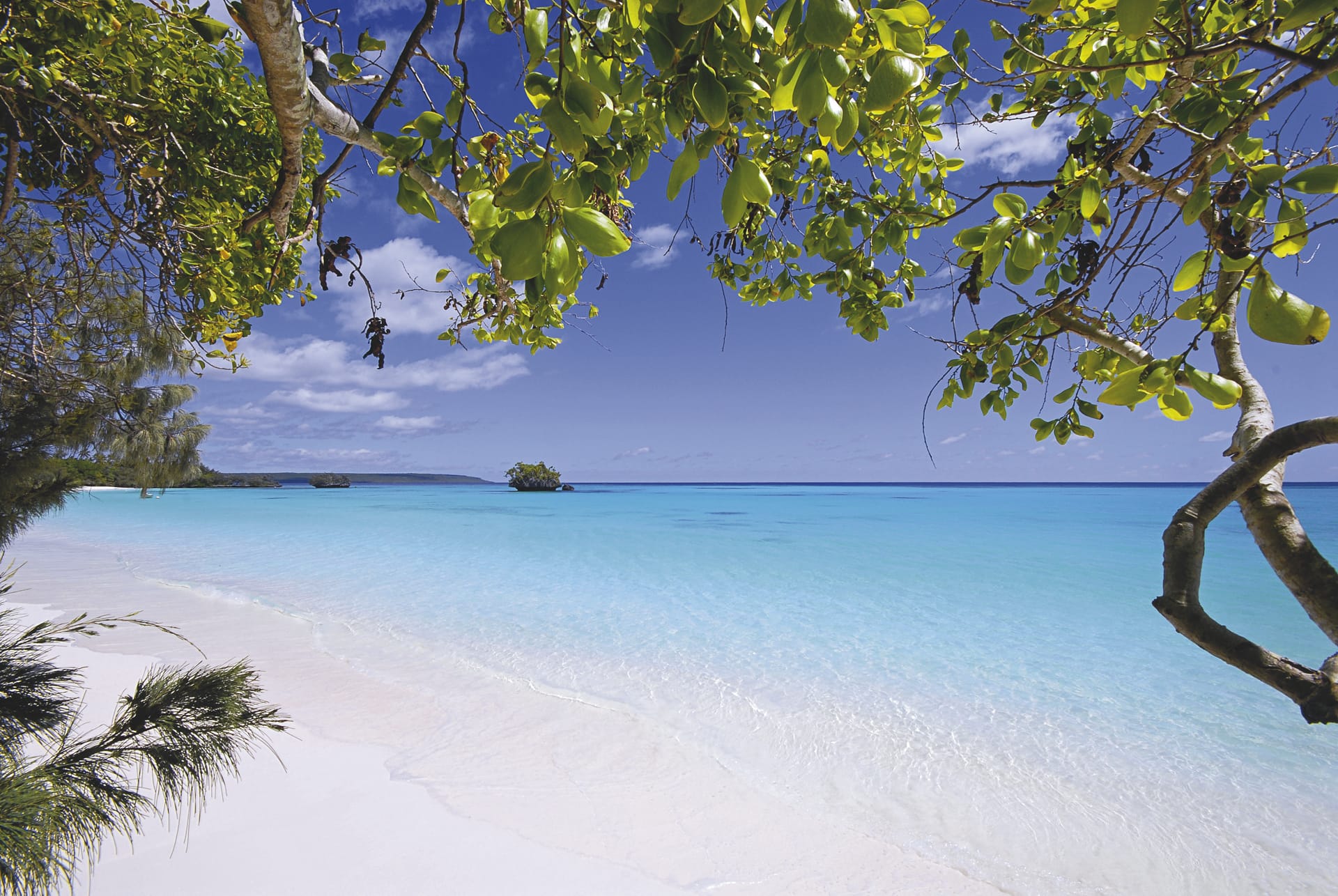 SPC_NCL_052_20100602_SS