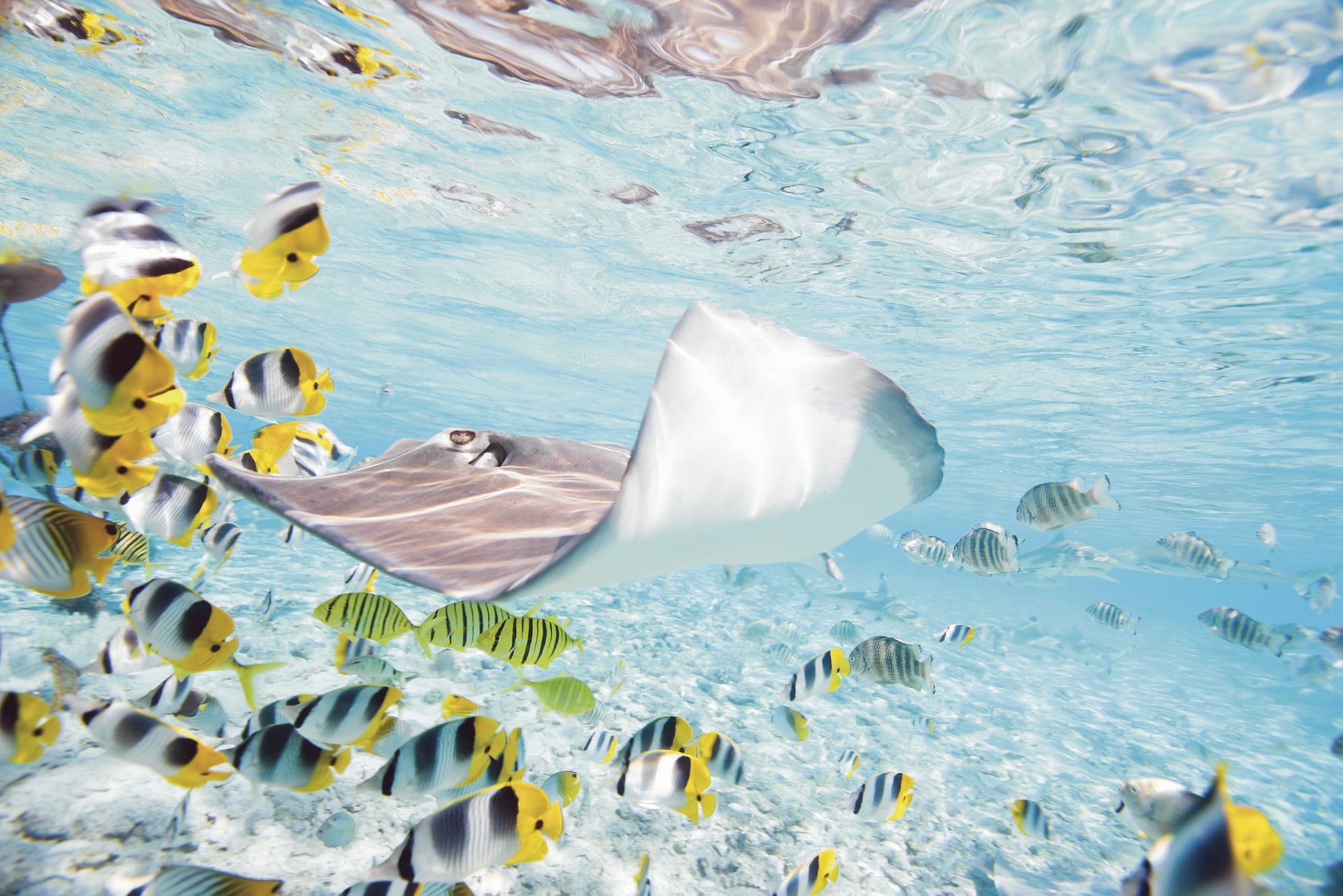 SPC_PPT_001_20150109_IvB