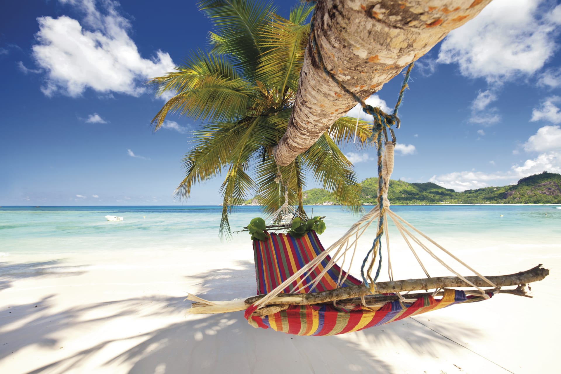 SPC_PPT_002_20160303_ss