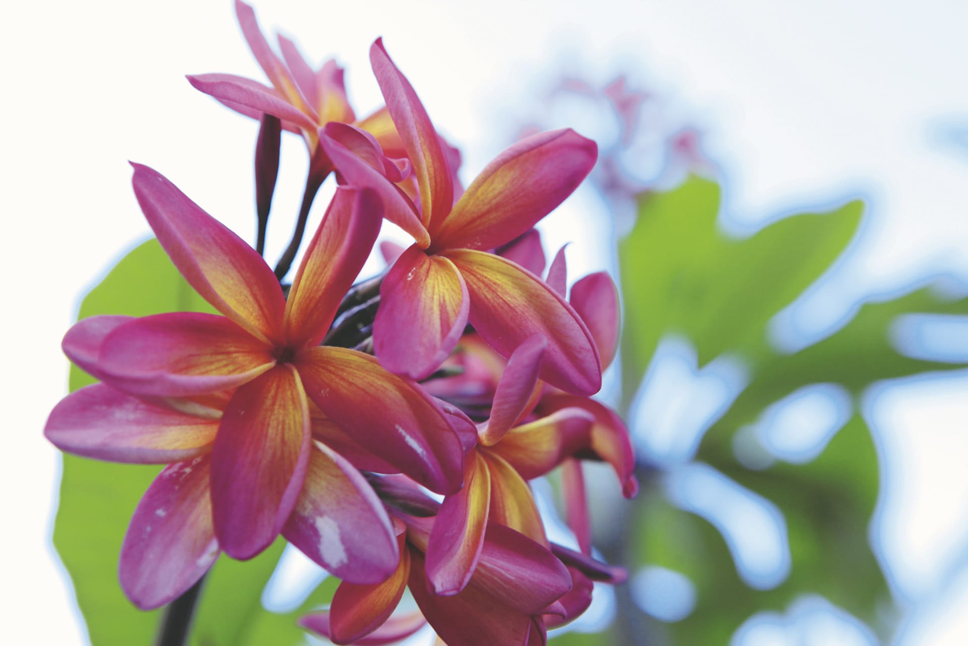 SPC_PPT_016_20140813_PP