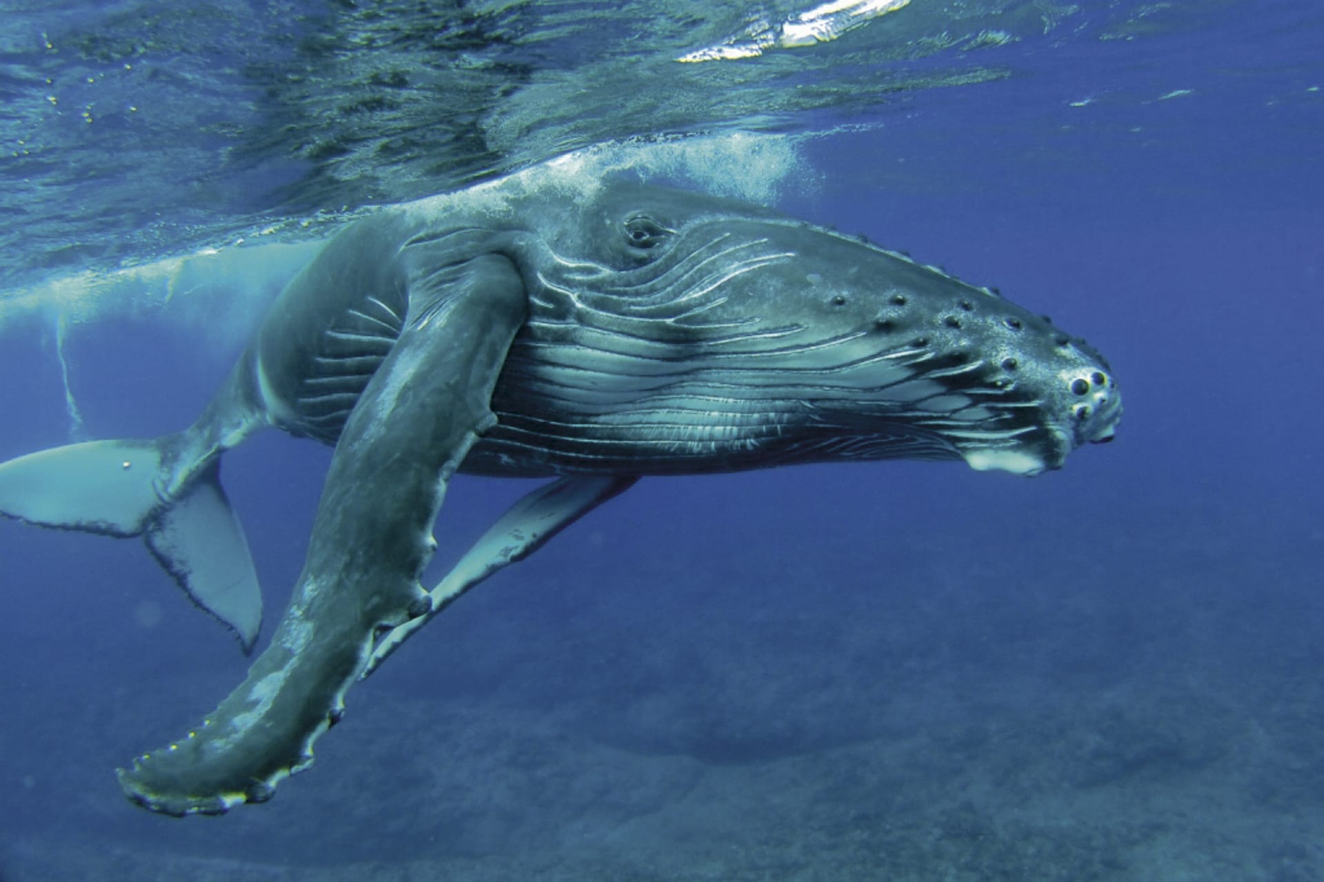 SPC_PPT_081_20130822_PP