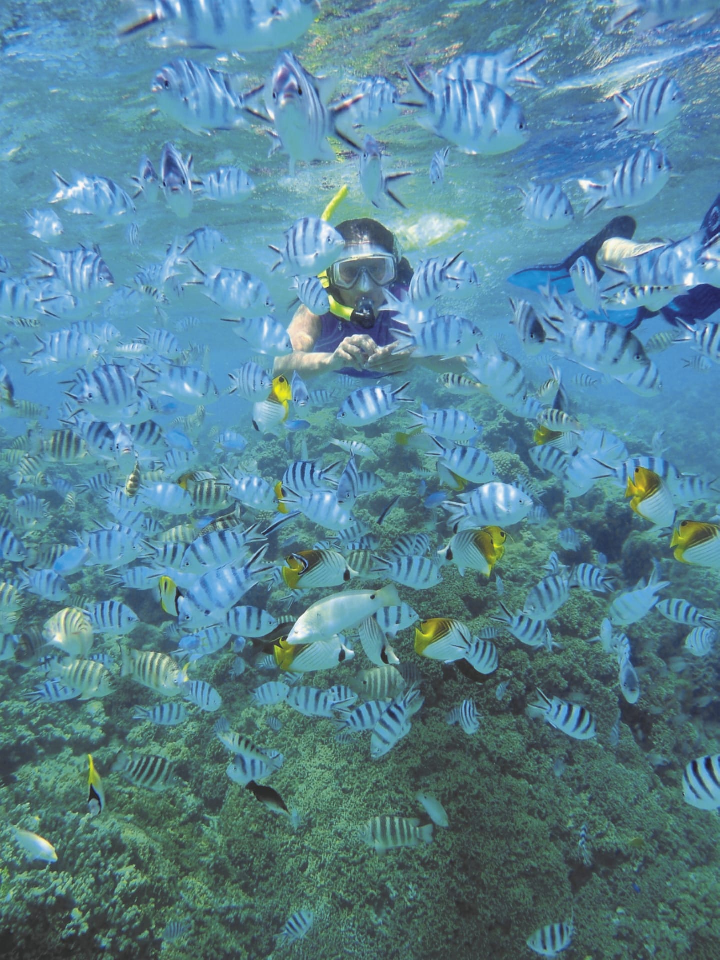 SPC_PPT_102_20150808_PP