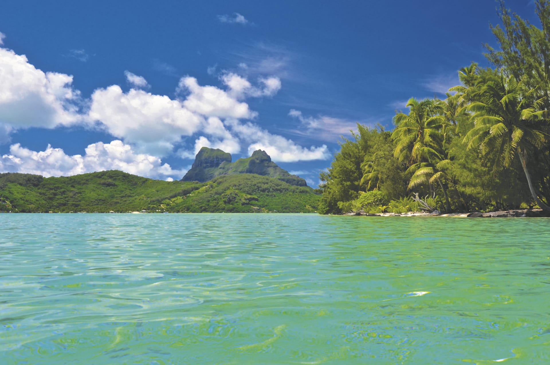 SPC_PPT_111_20150808_PP