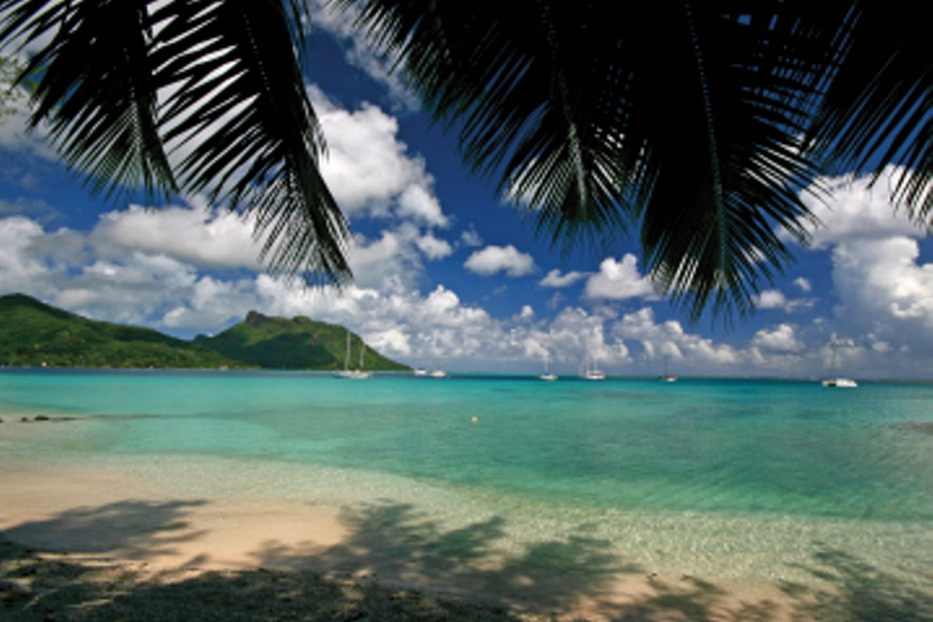 SPC_PPT_121_20110928_KF