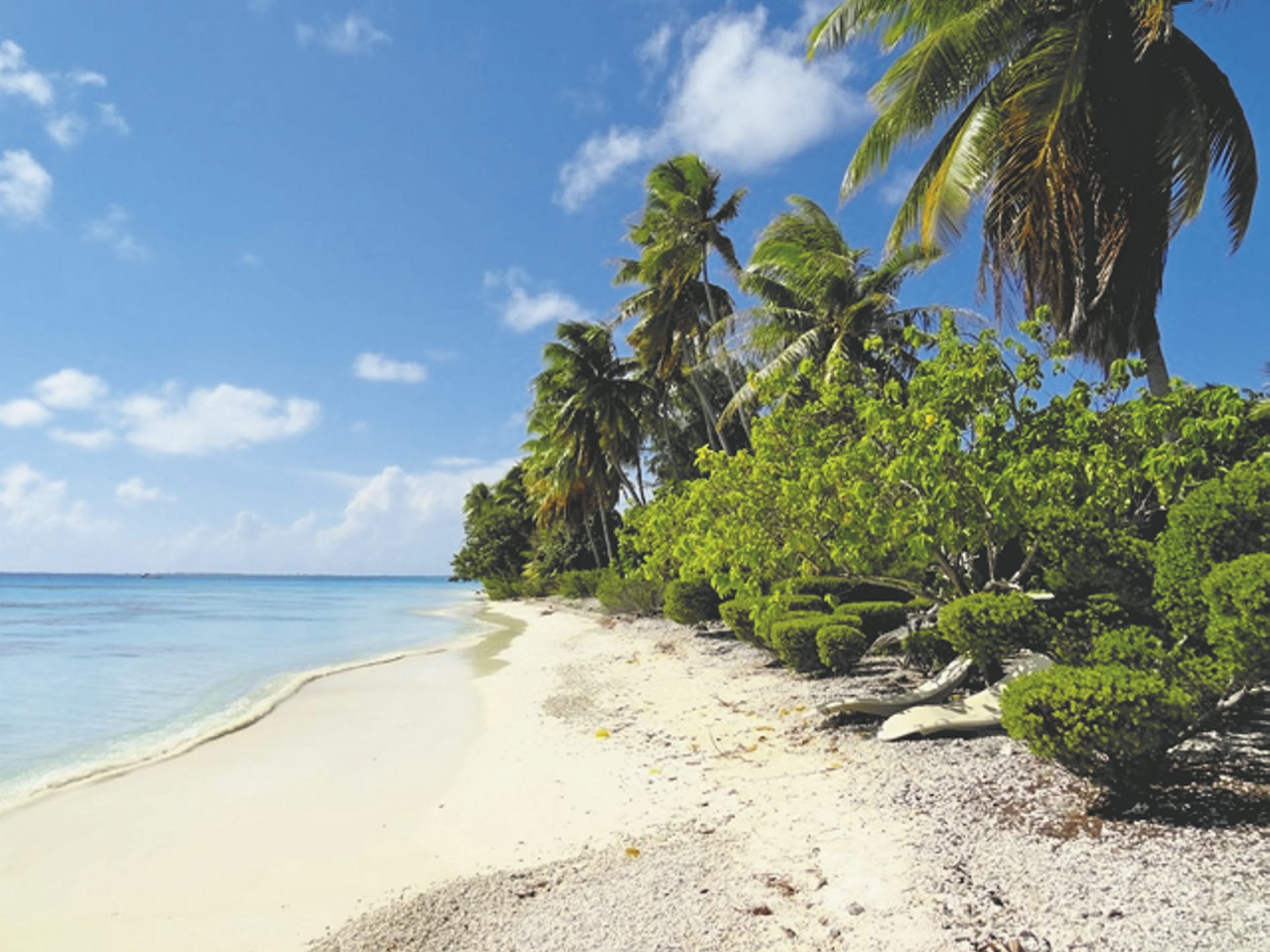 SPC_PPT_122_20150808_PP