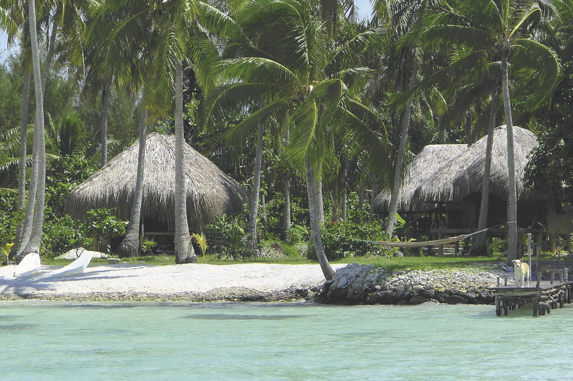 SPC_PPT_123_20150808_PP